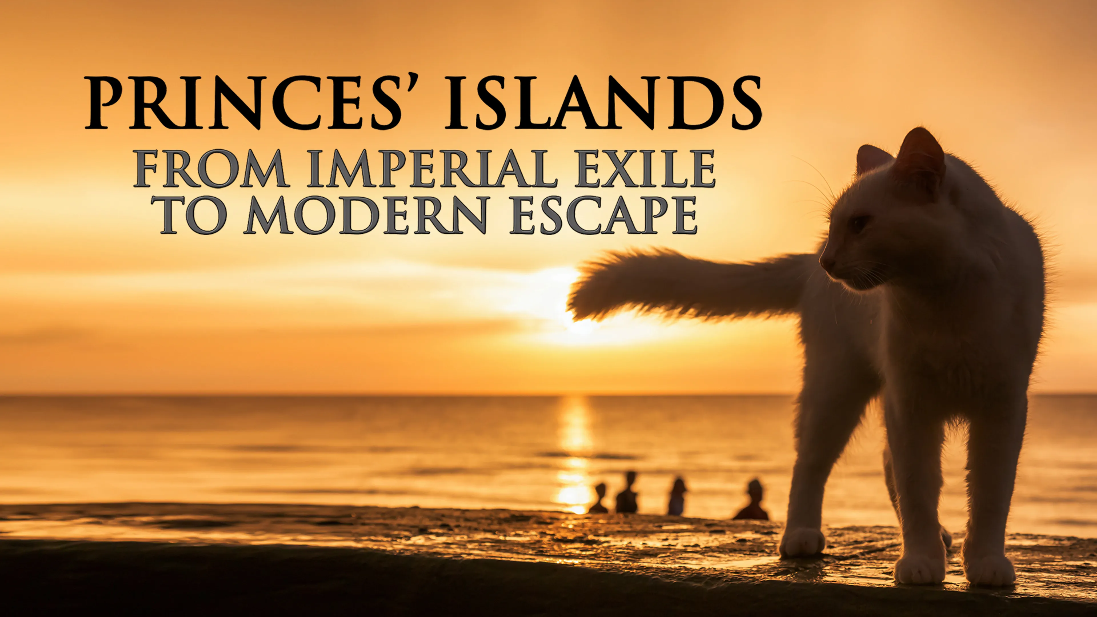 Title poster image